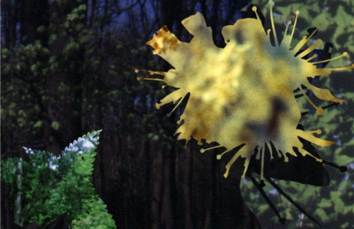 Earth of Delightful Gardening