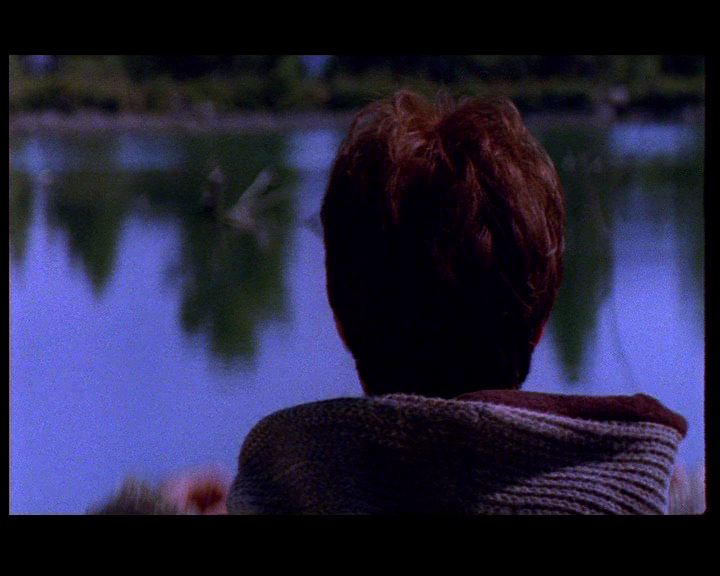 Altis kai o peponokipos