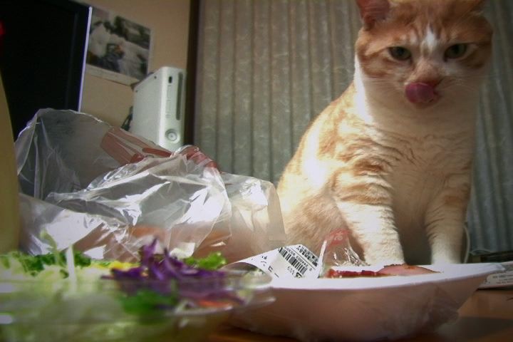 Kumo to hamushi no kioku