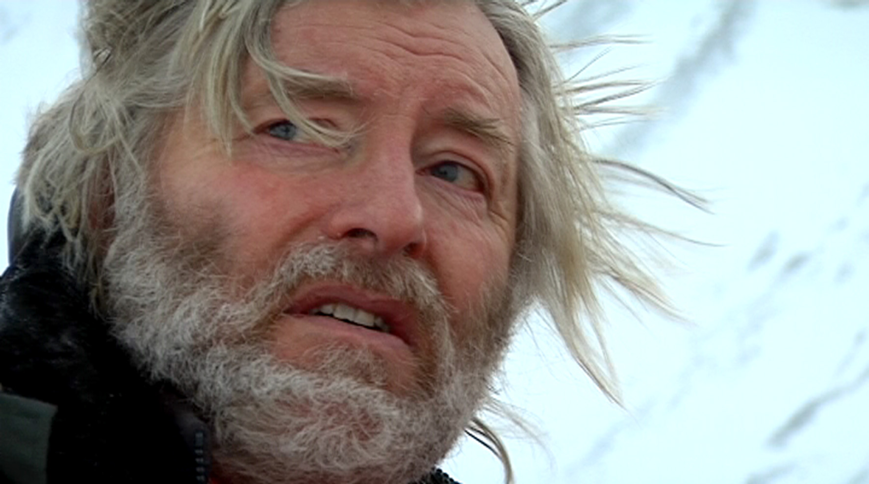 Isbjørn i magen - Ild i hjertet