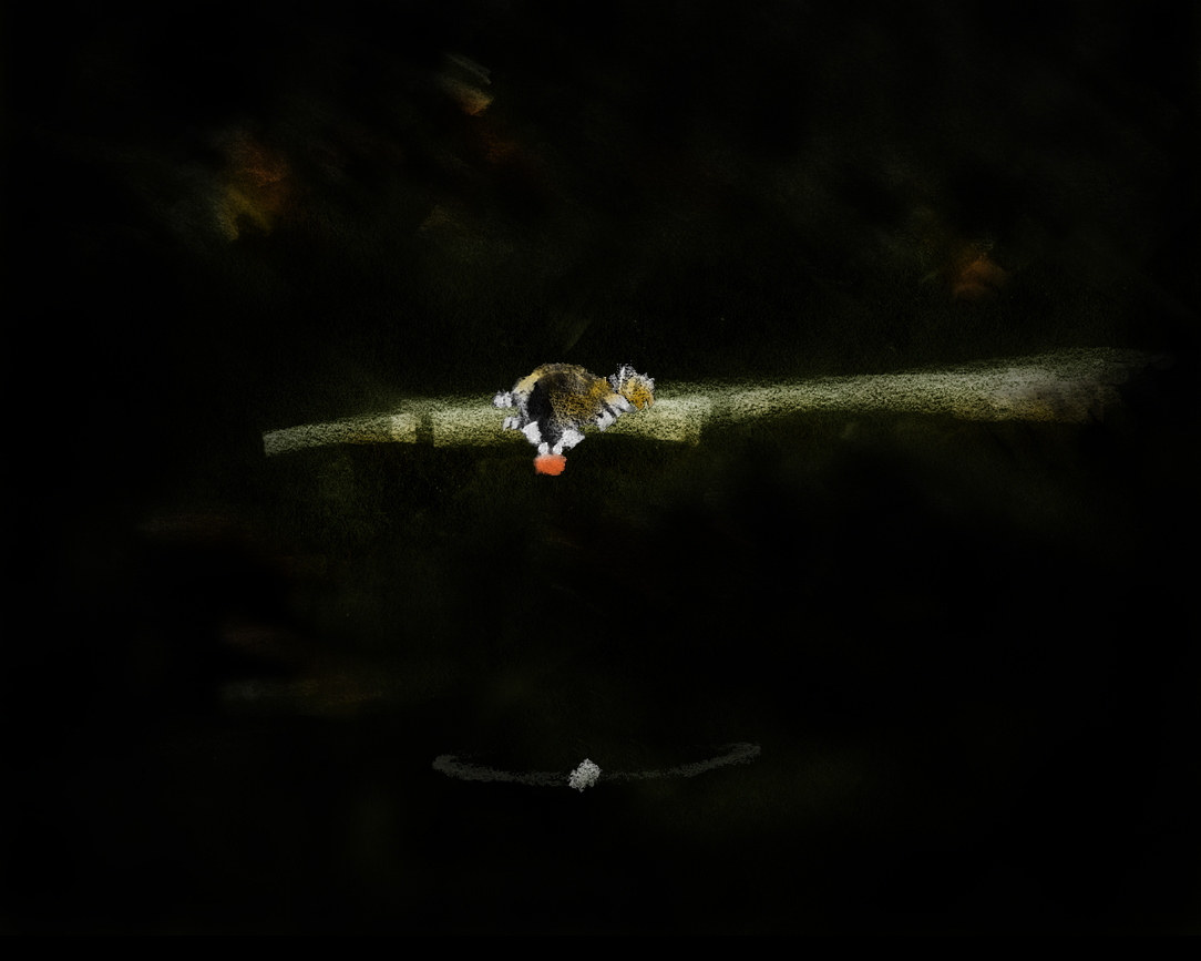 Contes qui tiennent sur une ligne