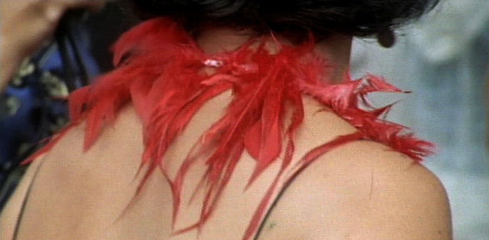 Meditação de Carnaval