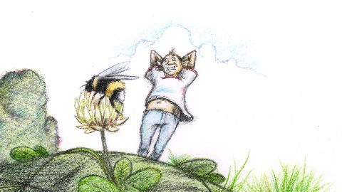 Guns, Bees and Tadpoles