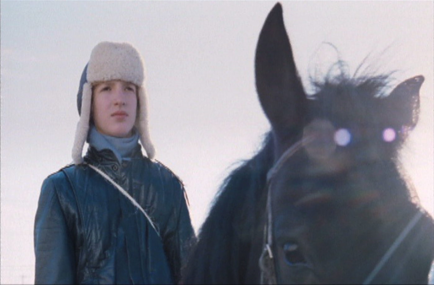 Neige cache l'ombre des figuiers