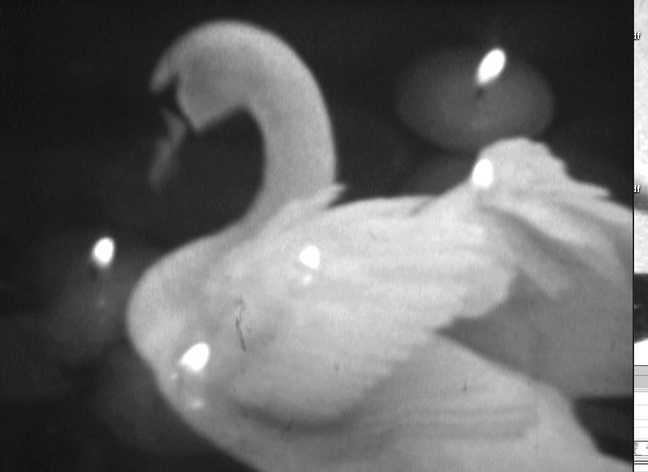 Get up, Jucy Lordan!