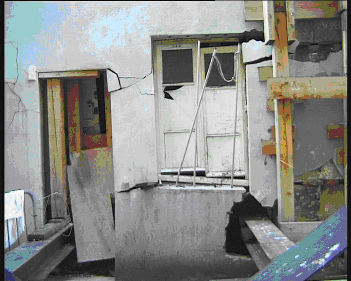 Living in a Better World