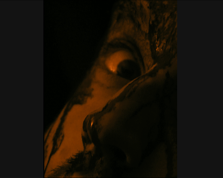 Mimetic