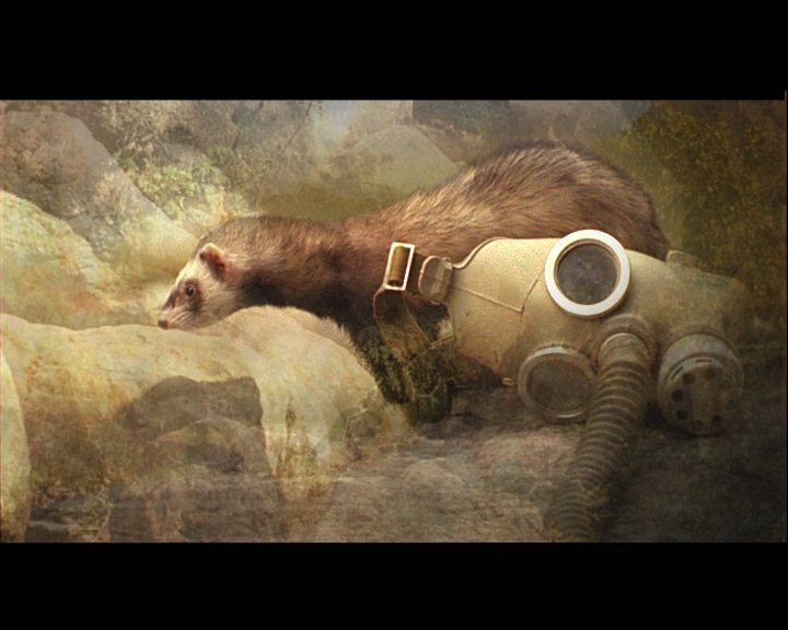 Romantique des fluides