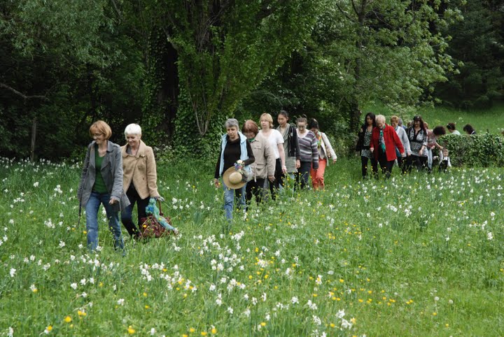 Jeune fille les garçons le peuplier