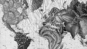 Espece(s) de patate(s)