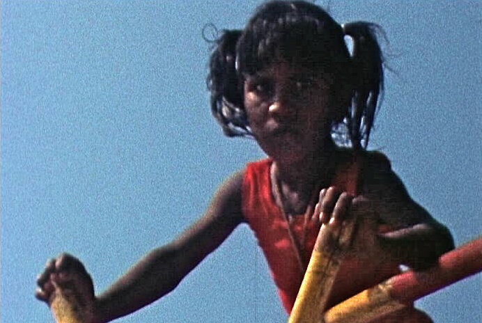 To have or not to have