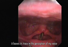 i turn over the picture of my voice in my head