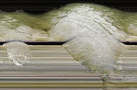 State of Flux: Wave #1-3