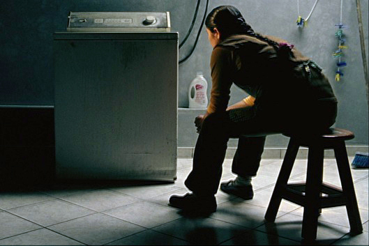 Animales Domésticos