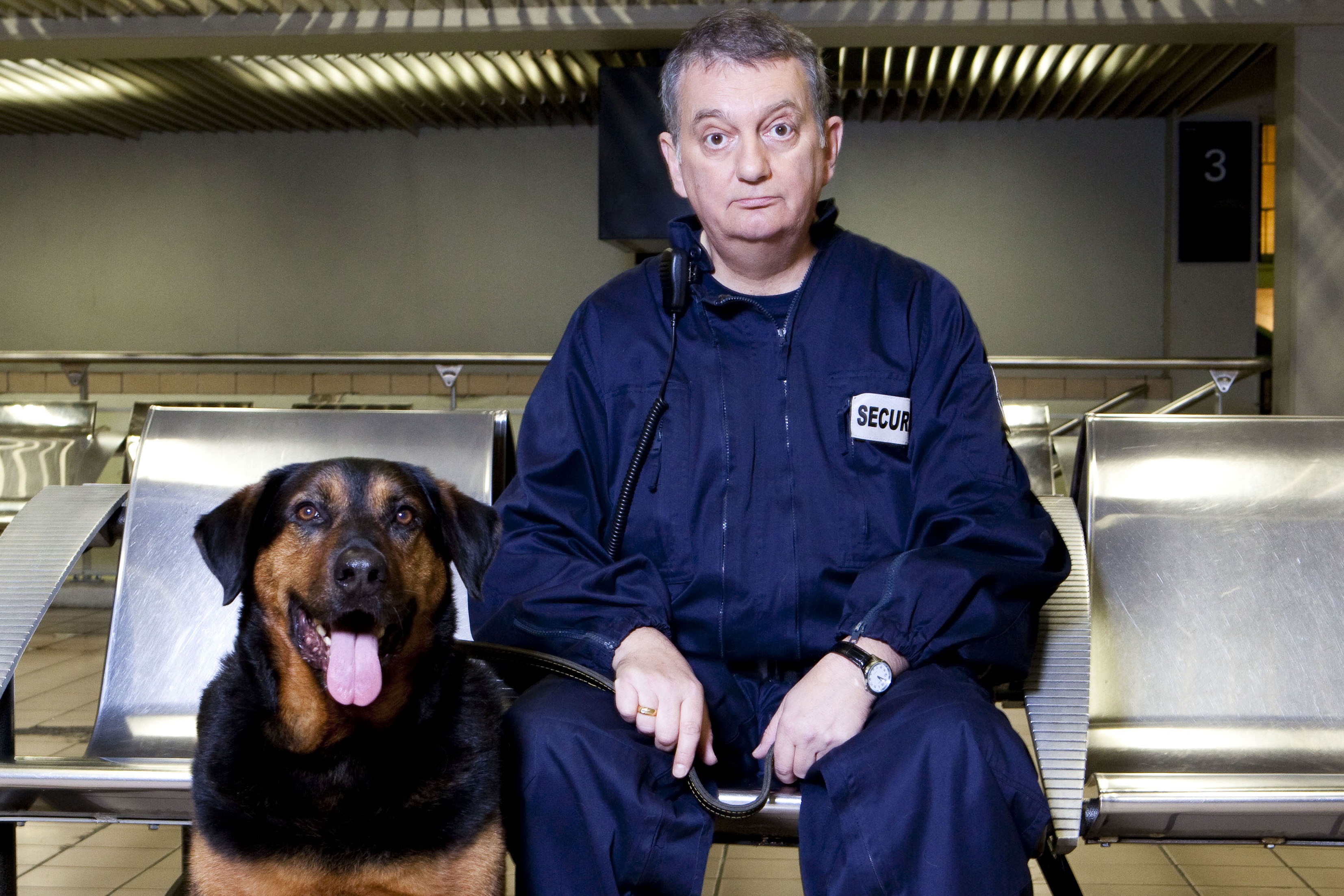 Meilleur ami de l'homme