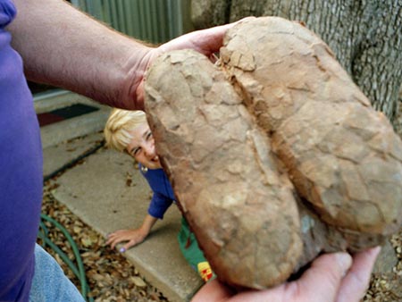 Fwd: Update on My Life (Director's Cut)