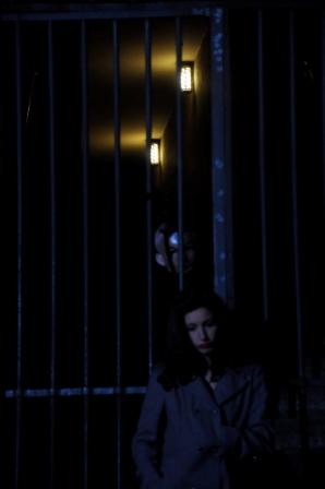 Collectionneur de cris