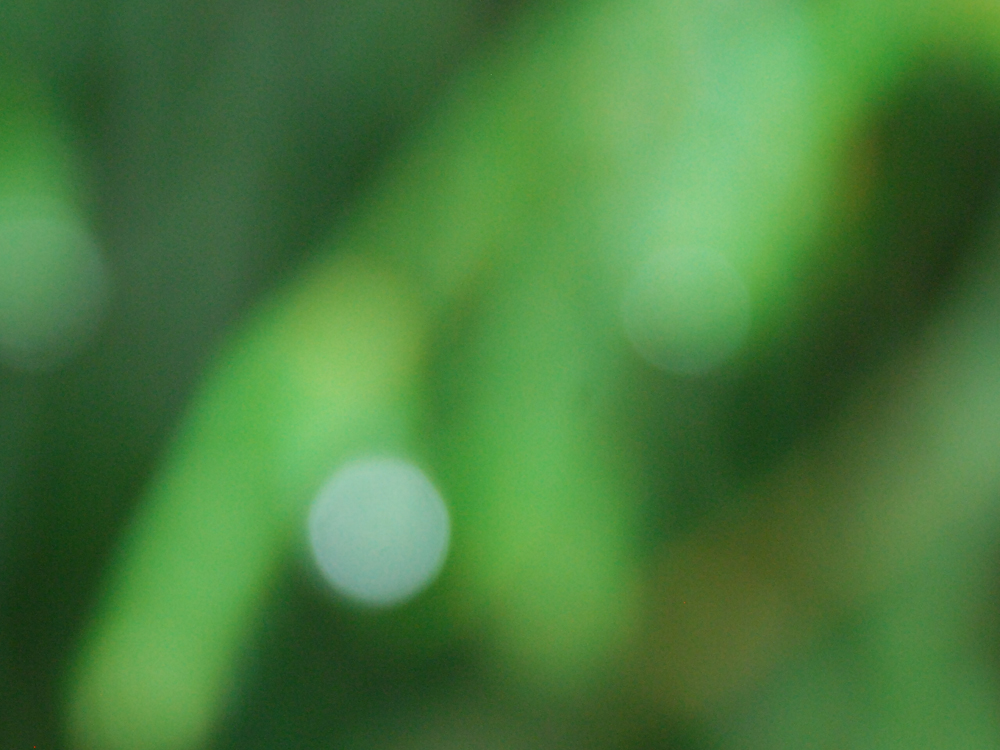 Glass Beads and Color