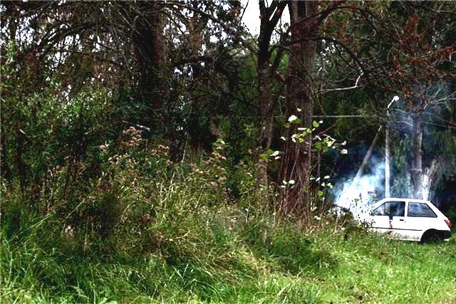 Mujer que usaba esparcidas las ondas del pelo