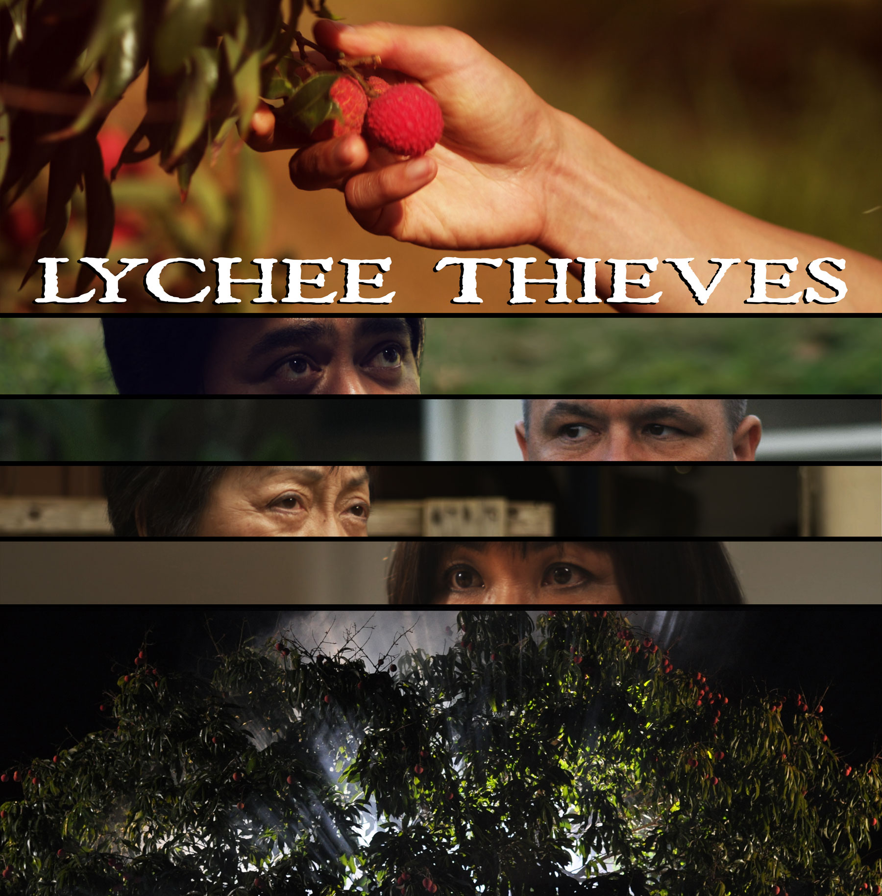 Lychee Thieves