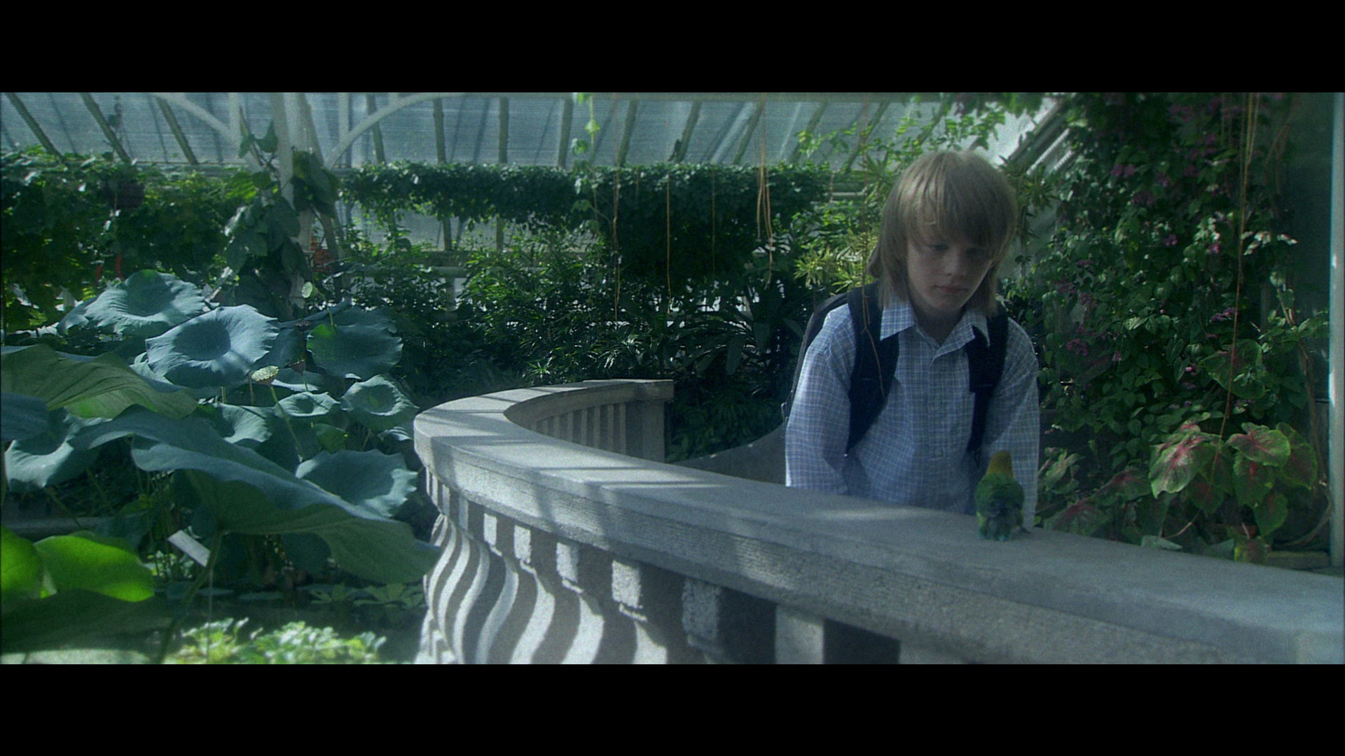 Keine Ahnung ist tot