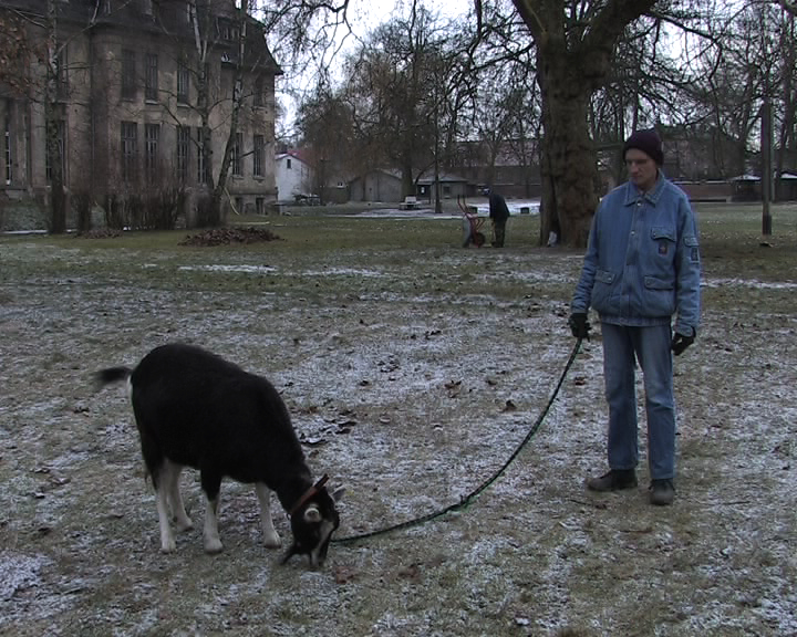 Mendelssohn Bartholdy