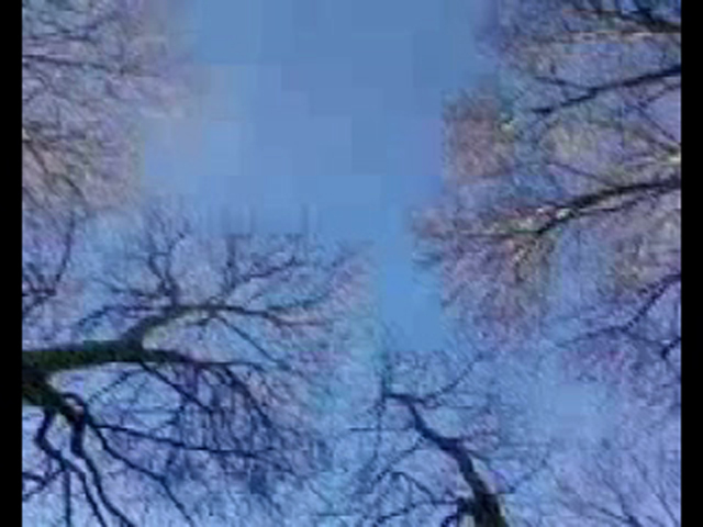 Strange Trees d'Alexandre Rodtchenko
