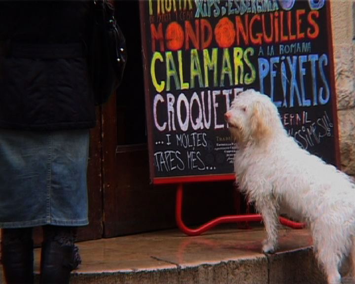 Calidoscopi. 41,2ºN - 1,8ºE