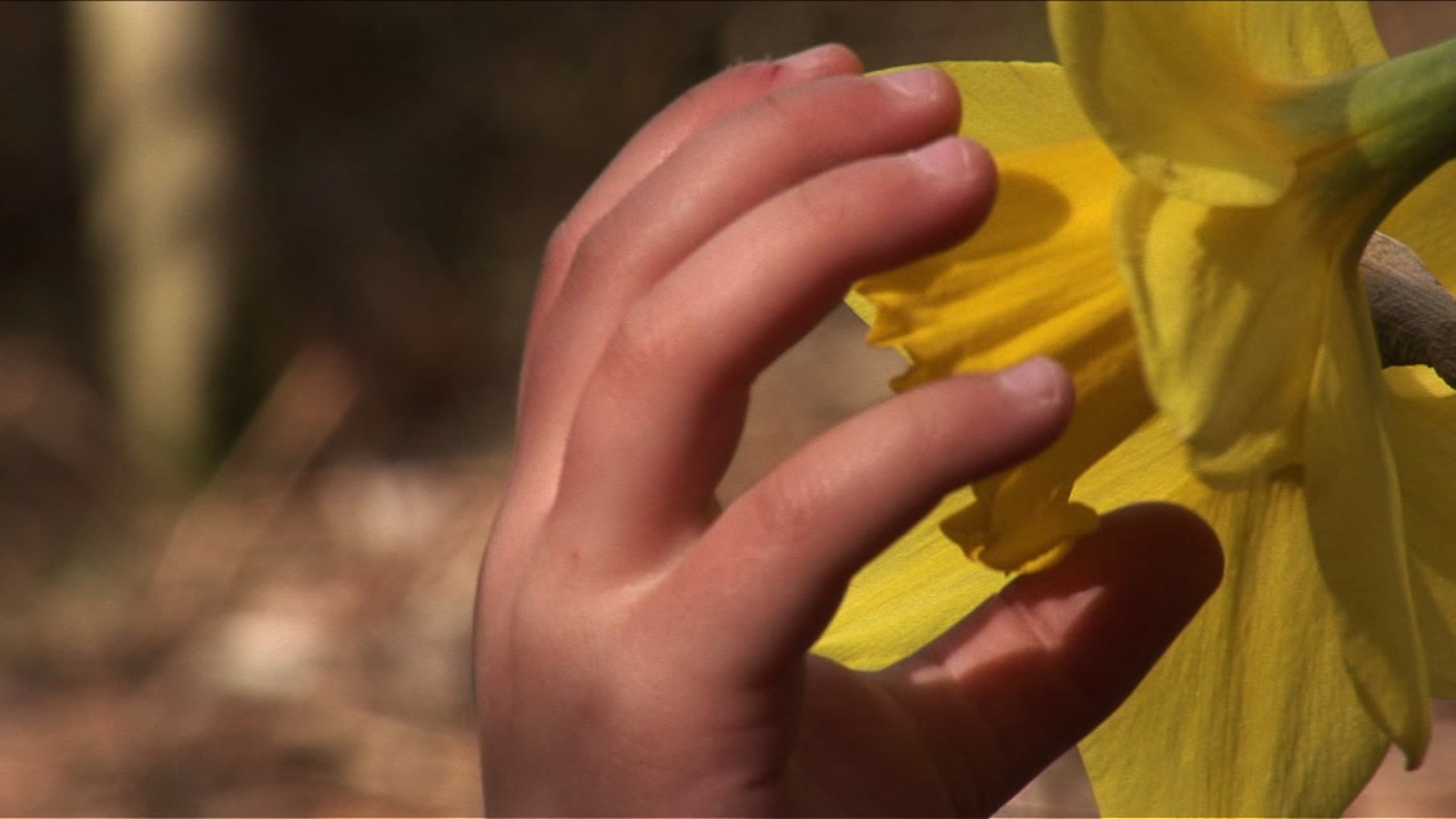 Into the Middle of Nowhere