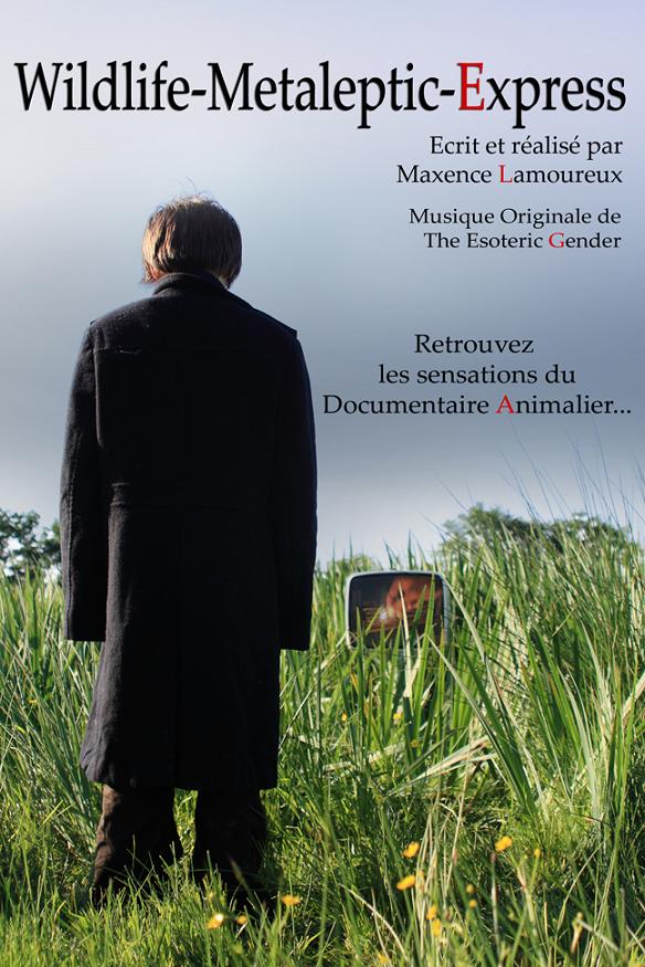Wildlife-Metaleptic-Express