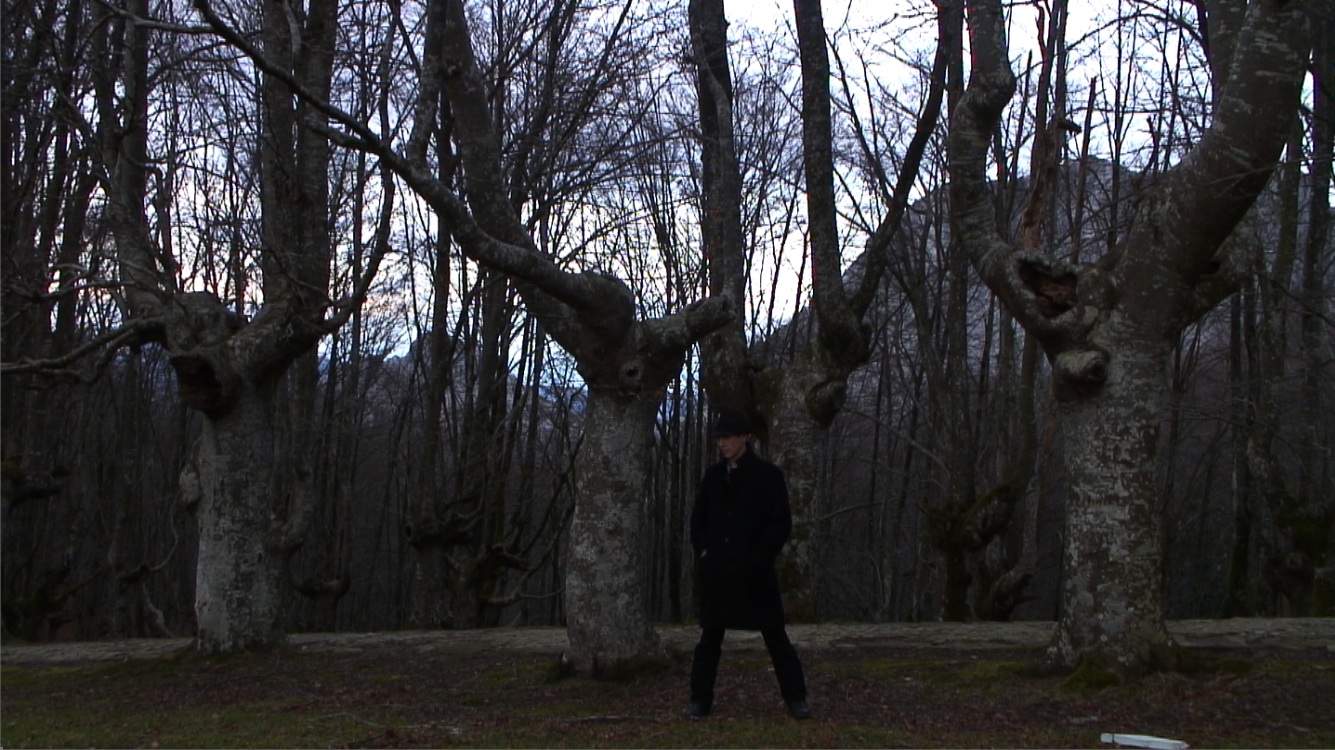 Si yo fuera tú, me gustarían los Cicatriz