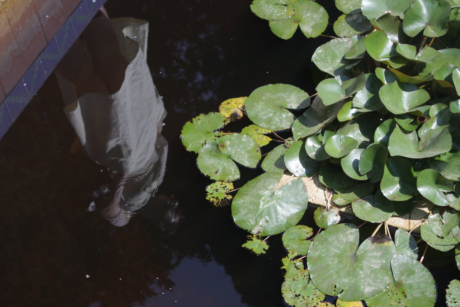 Sara y Juan. Los amores jóvenes