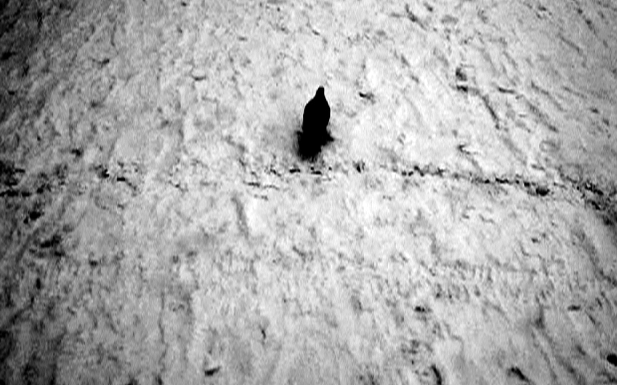 Giardino della Speranza