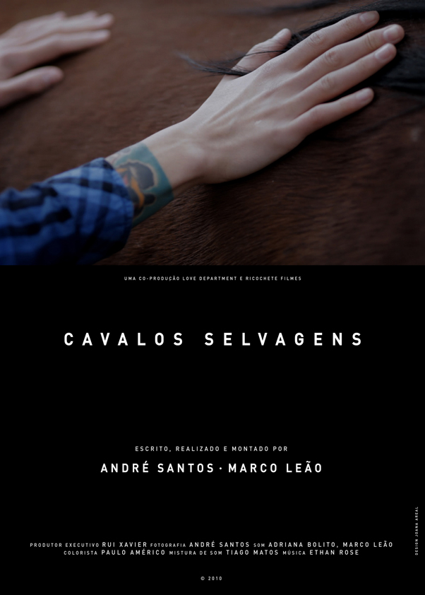Cavalos selvagens