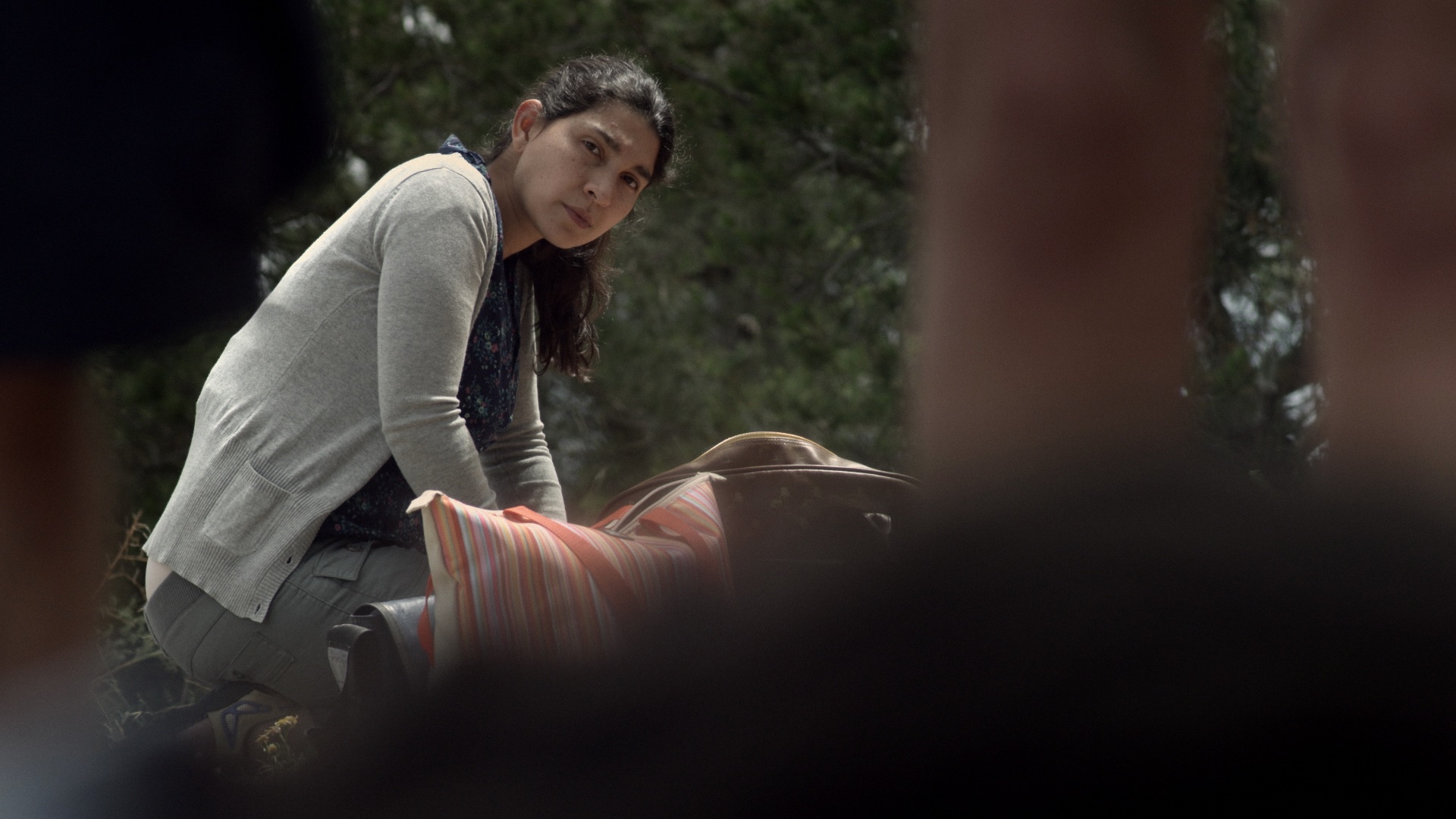 Todos iguais a dormir