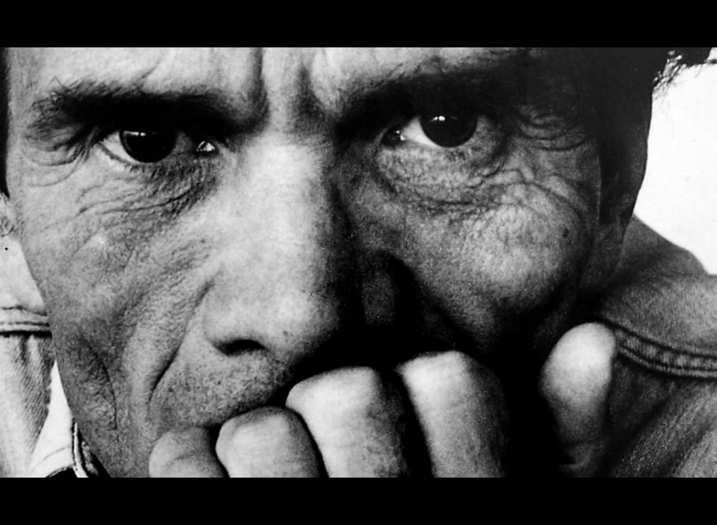 Manuale d'ornitologia