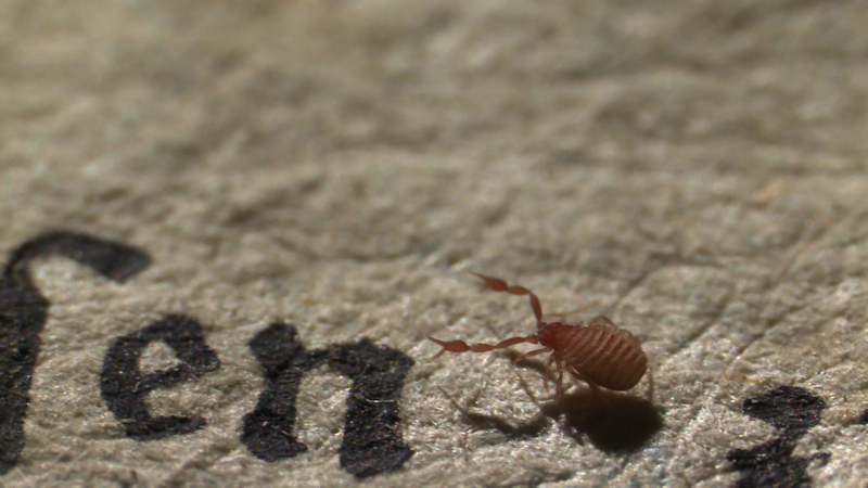 Leben zwischen den Zeilen
