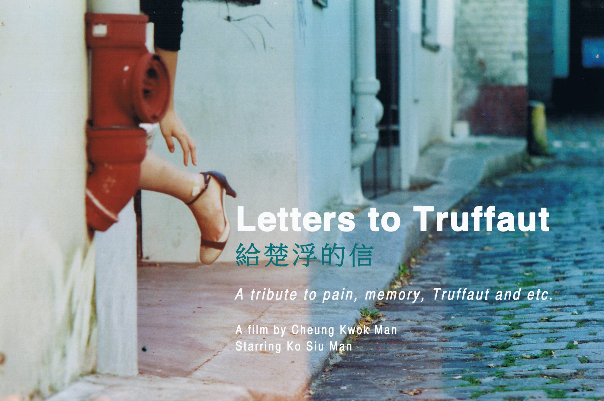 Letters to Truffaut