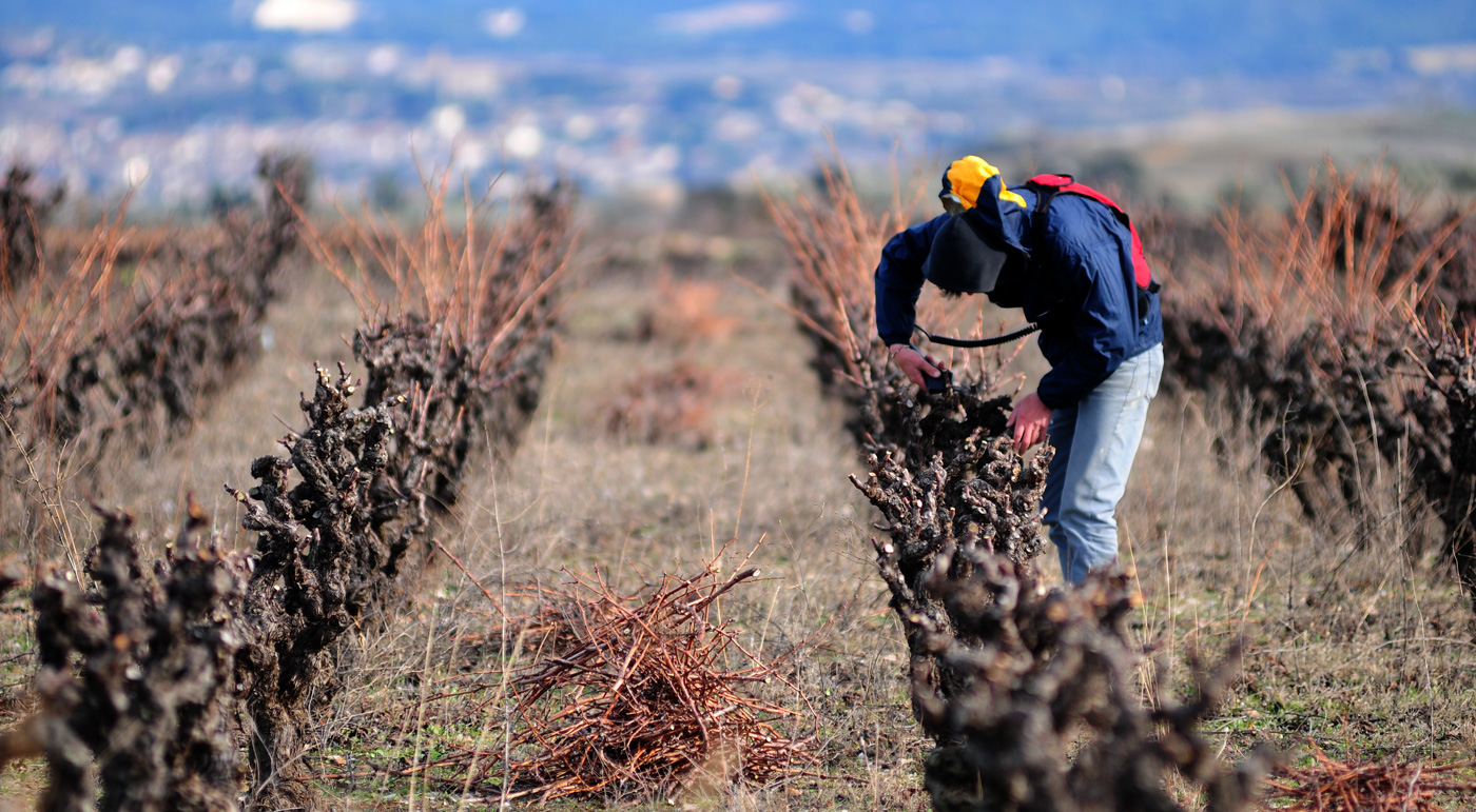Un petit bout de terre
