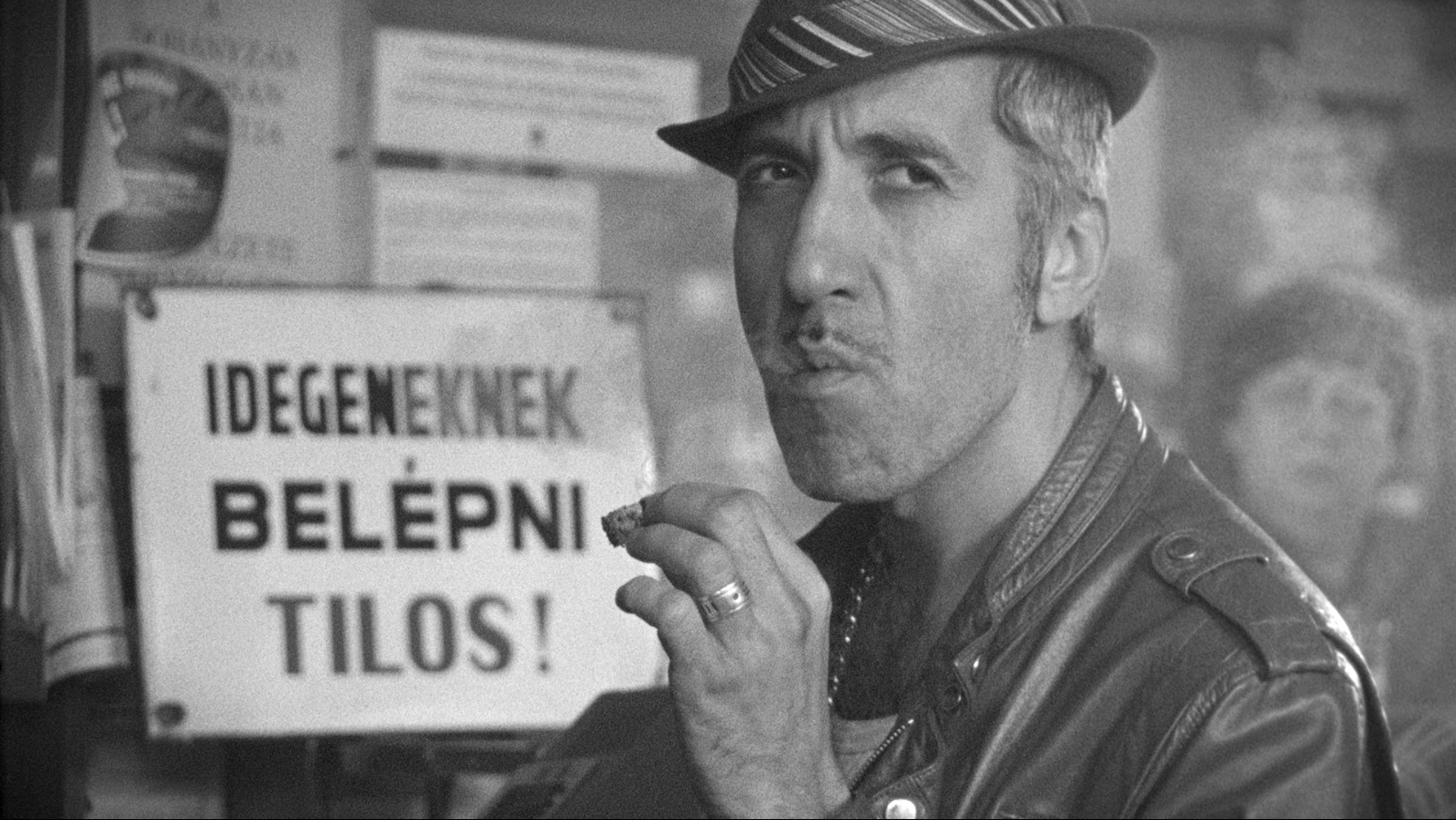 Zoltan: The Hungarian Gangster of Love