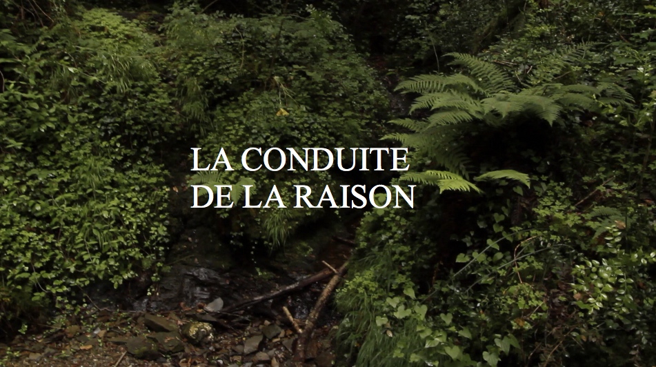 Conduite de la raison