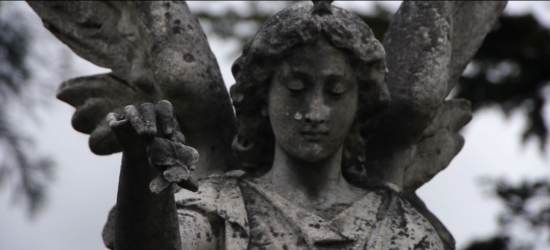 Bookbinder's Daughter