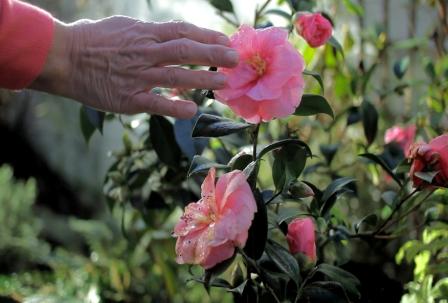 Fumbling Towards Ecstasy