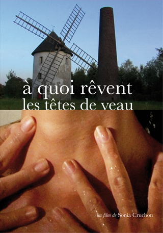 A quoi rêvent les têtes de veau