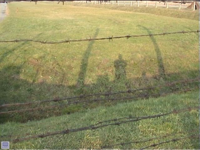 Video Flaneur Shoots Auschwitz