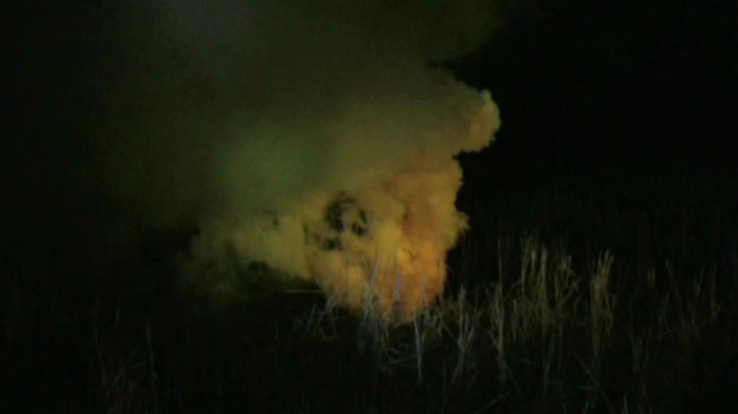 My Mother and Her Portrait