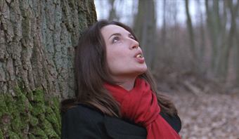 Mécanique de la grive