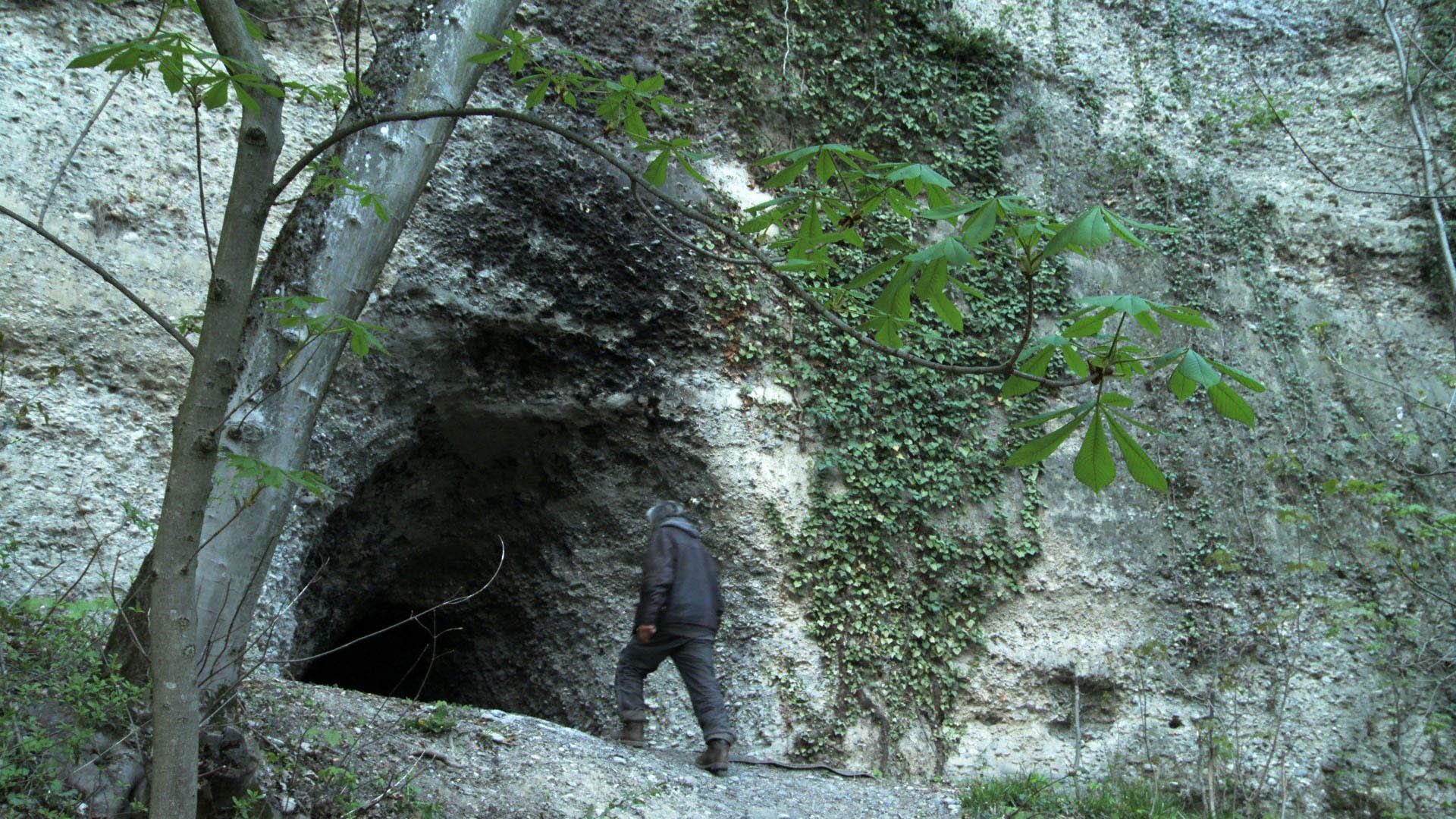 Ingénieur et le prothésiste