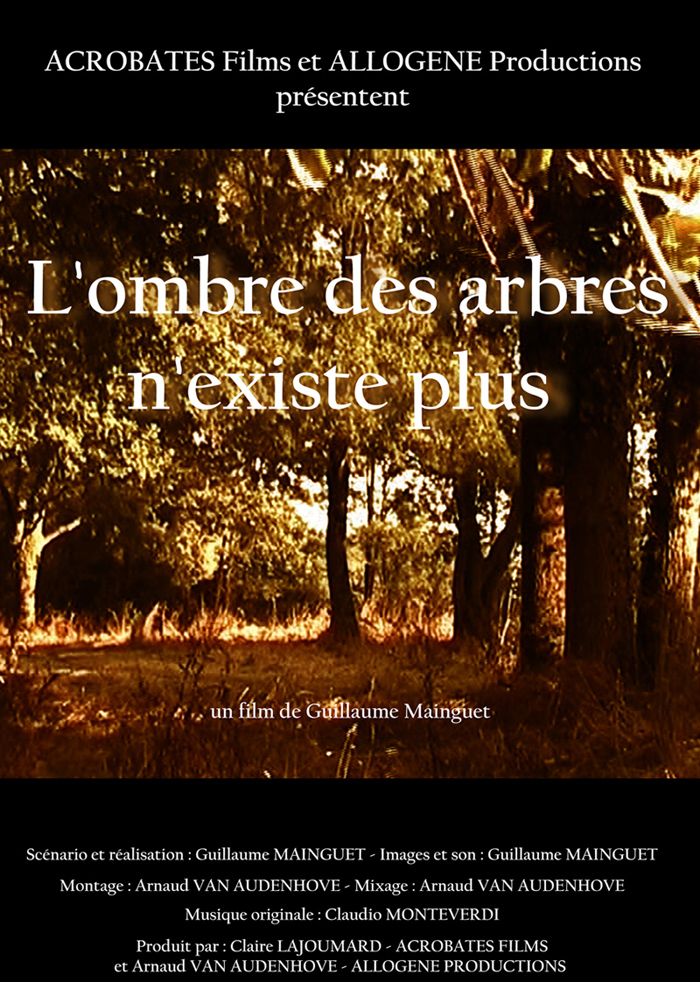 Ombre des arbres n'existe plus