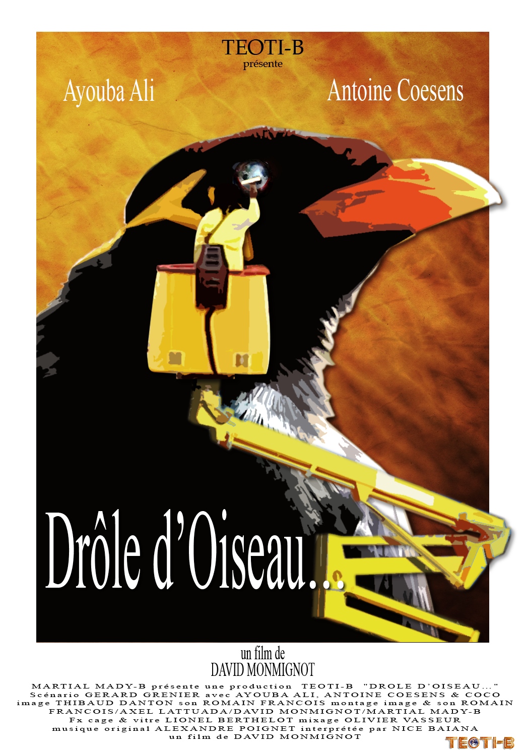 Drôle d'oiseau ...